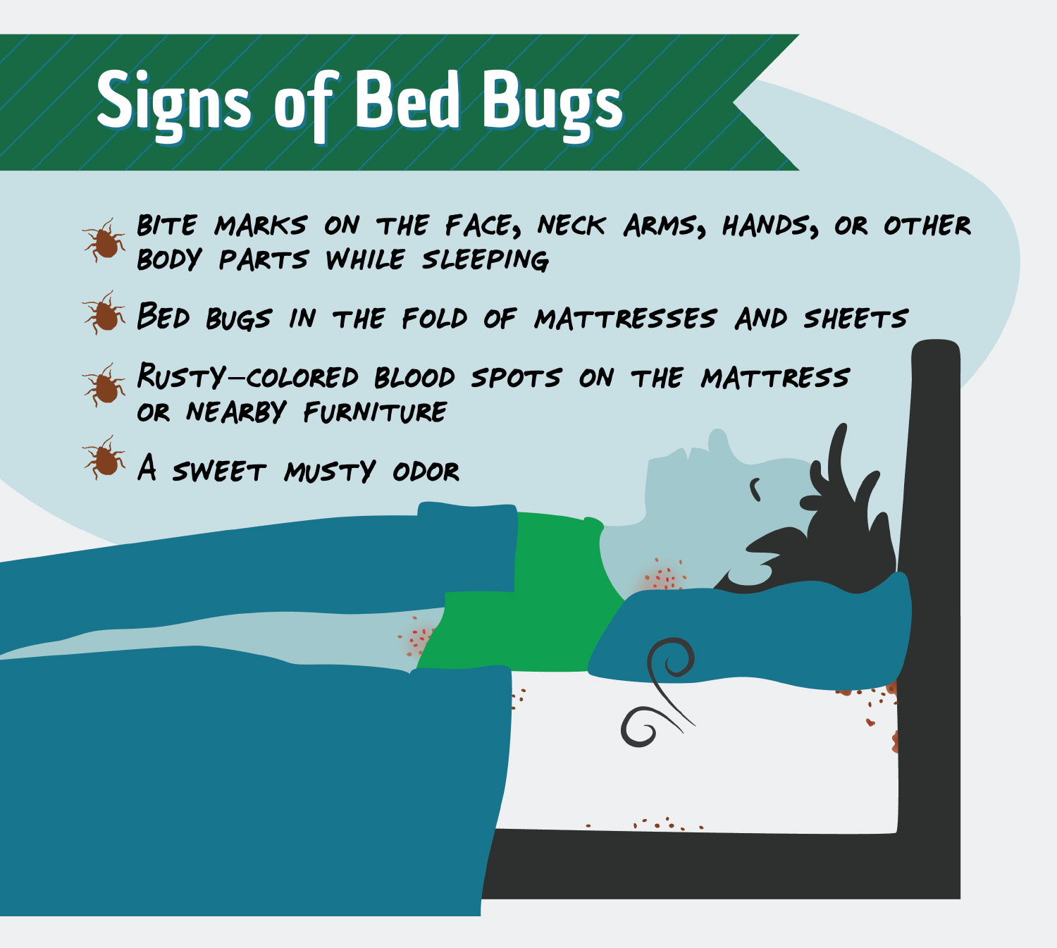 Bed Bug St. Louis in St. Louis, Missouri Offers Bed Bug Detection Services Bed Bug St. Louis in St. Louis, Missouri Offers Bed Bug Detection Services
